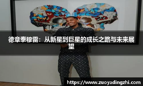 德章泰穆雷：从新星到巨星的成长之路与未来展望